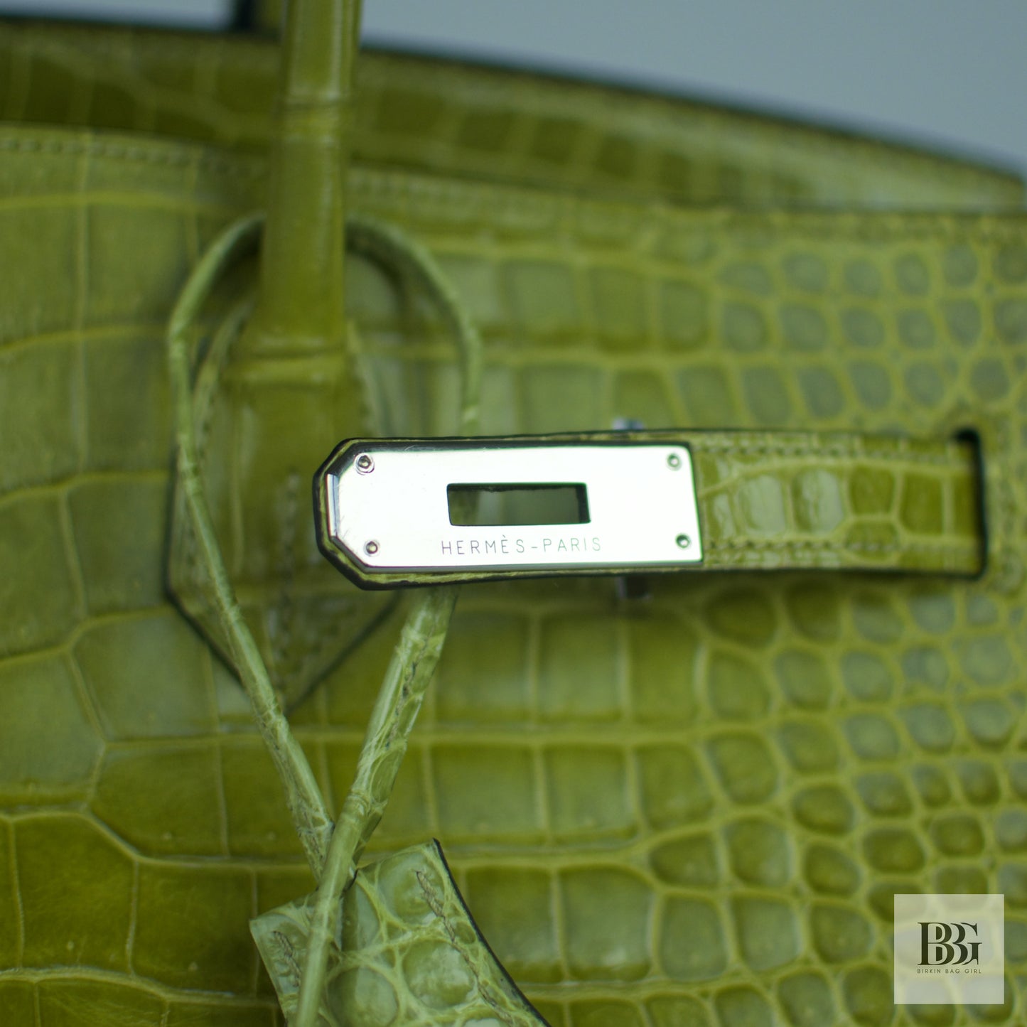 Hermès Birkin 35 Porosus Crocodile Granny PHW