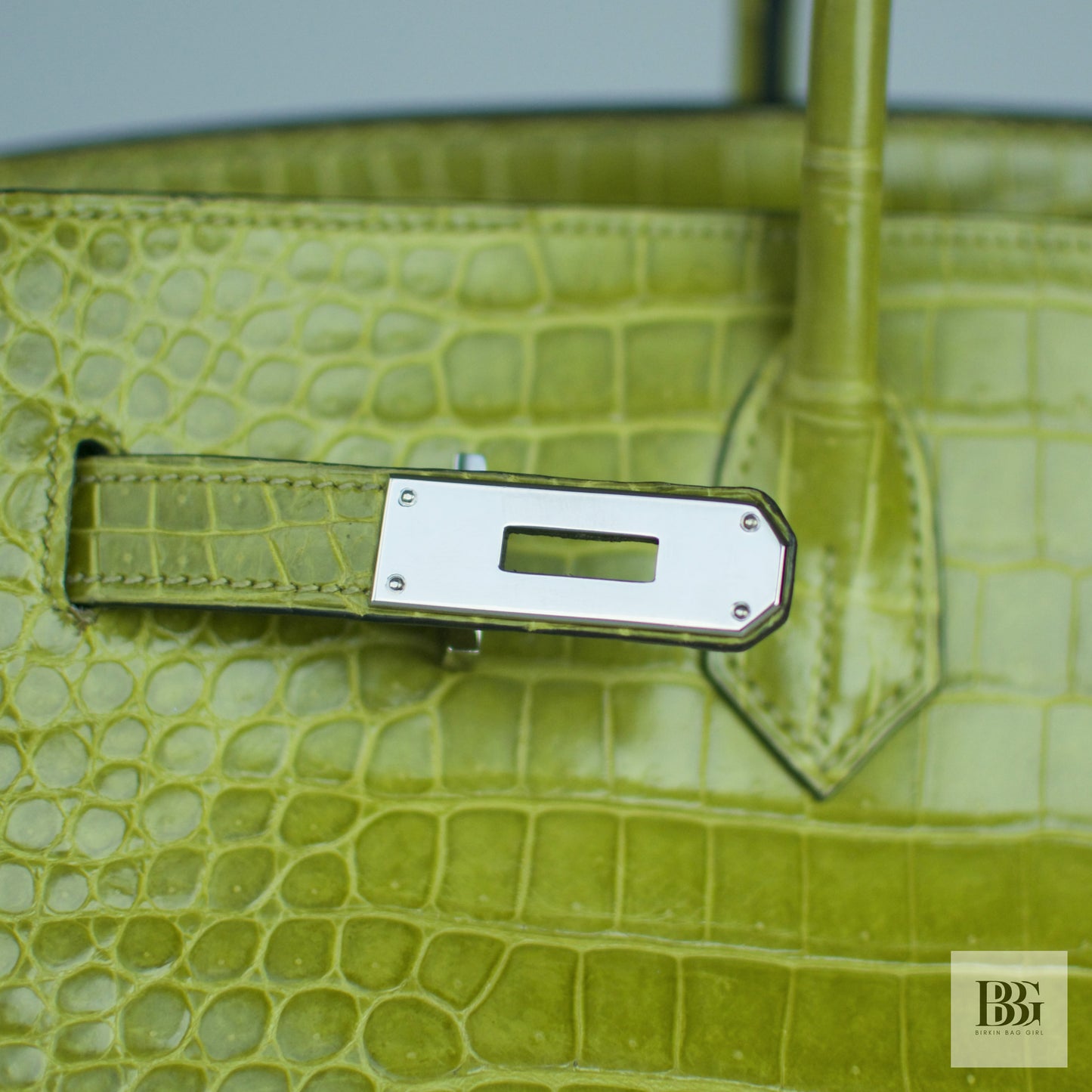 Hermès Birkin 35 Porosus Crocodile Granny PHW