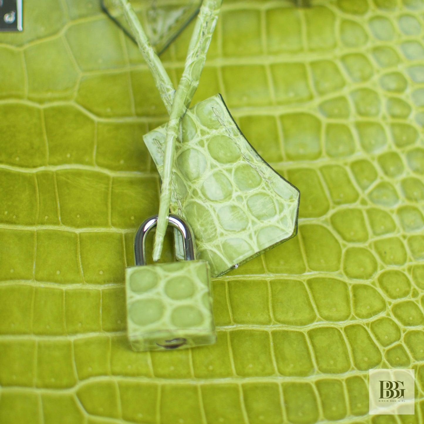 Hermès Birkin 35 Porosus Crocodile Granny PHW